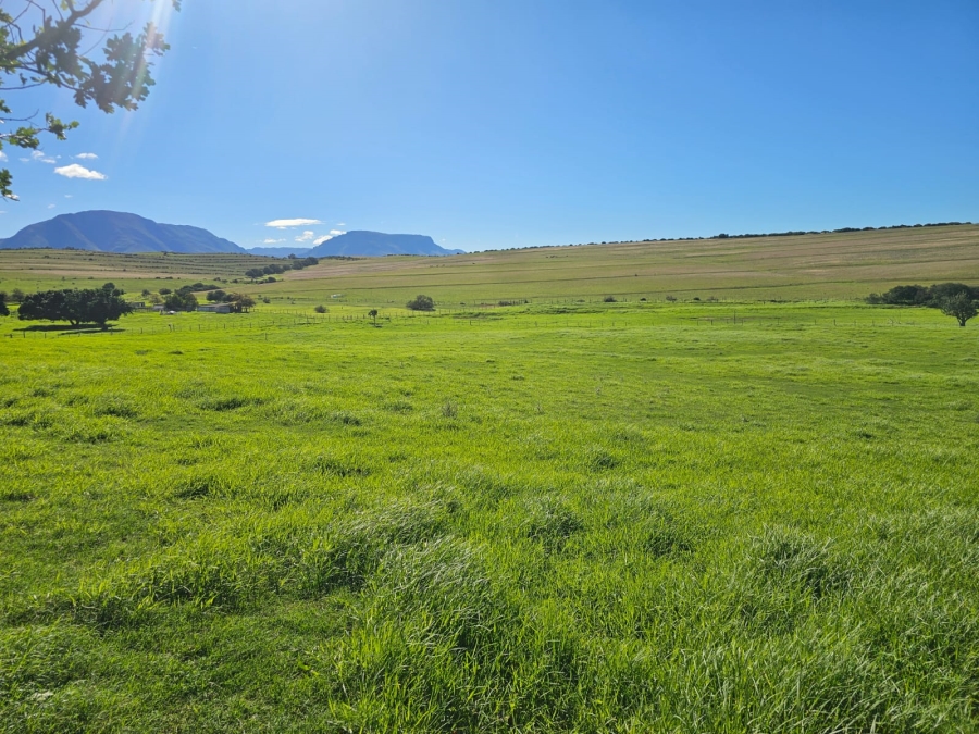 4 Bedroom Property for Sale in Riversdale Rural Western Cape